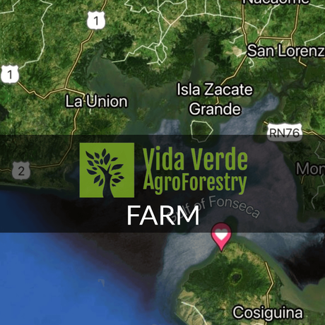 The Vida Verde Cosiguina farm.